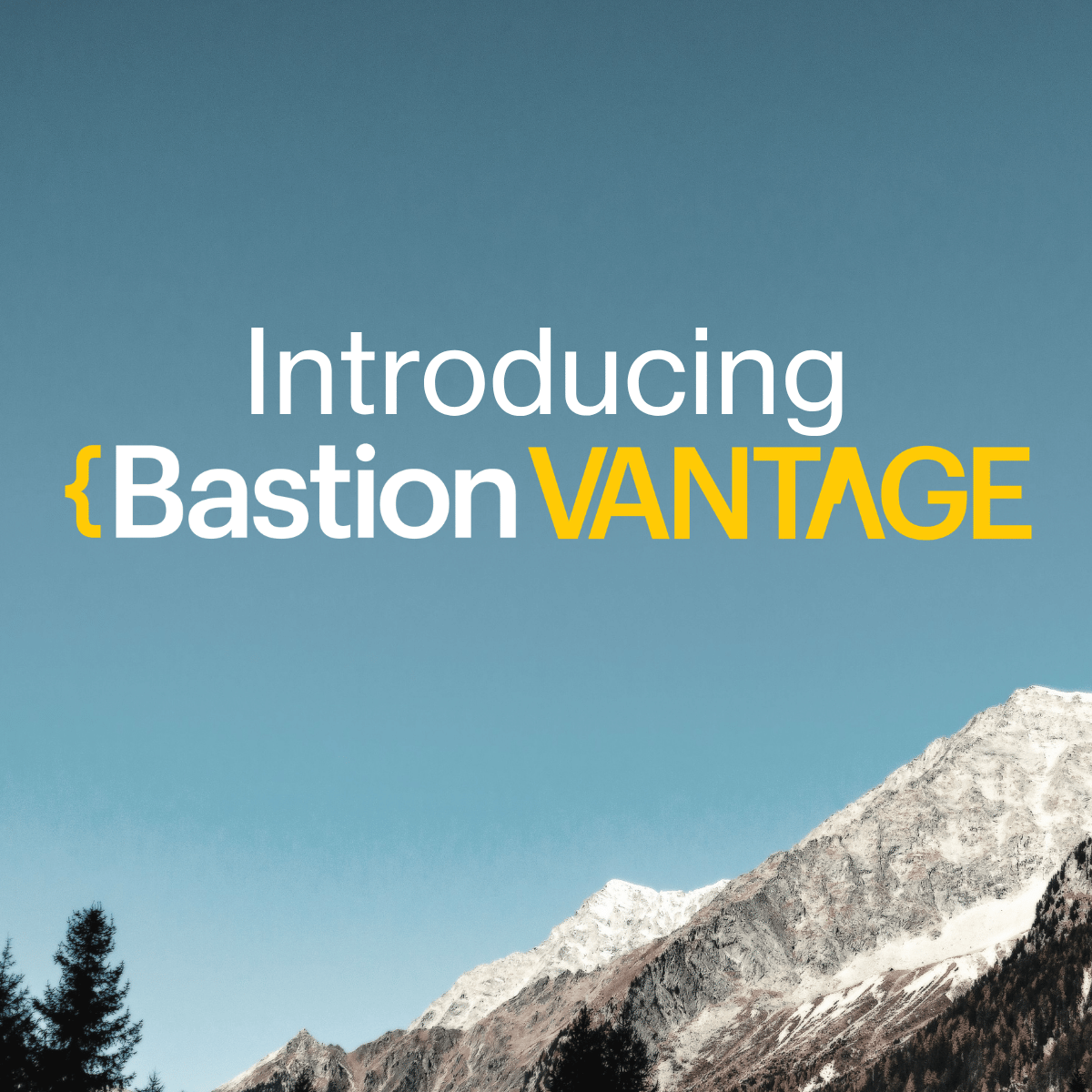 Bastion Insights launches Bastion Vantage, combining AI and human expertise to uncover the insights that matter